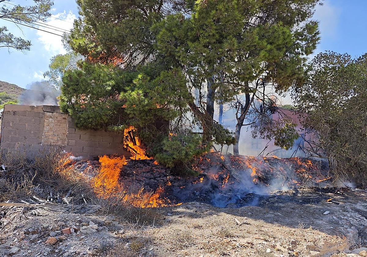 El fuego se extiende por varios pinos, este lunes por la tarde.