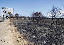 Imagen de archivo de la zona quemada en El Carmolí.