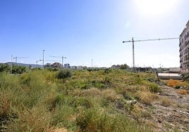 Terrenos en la zona norte del municipio de Murcia, entre Zarandona y Santiago y Zaraíche, que estarán en el inventario de vivienda asequible que prepara la Comunidad.