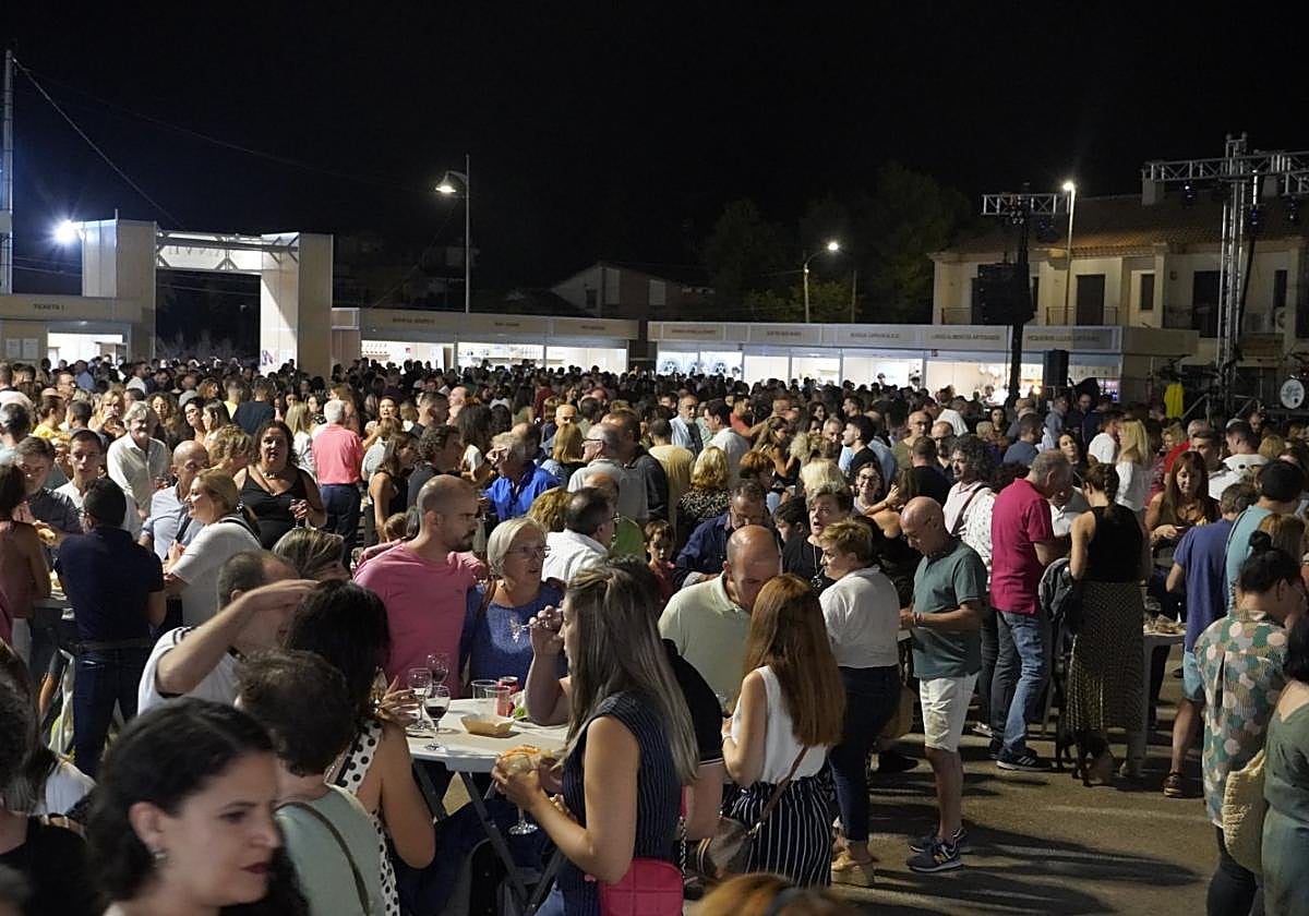 Recinto del SanVino el pasado año.