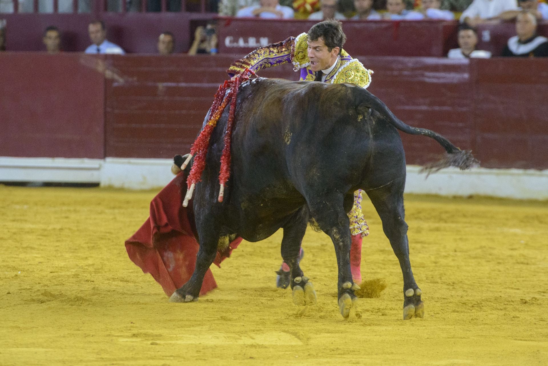 La tarde triunfal de Ureña en Murcia, en imágenes