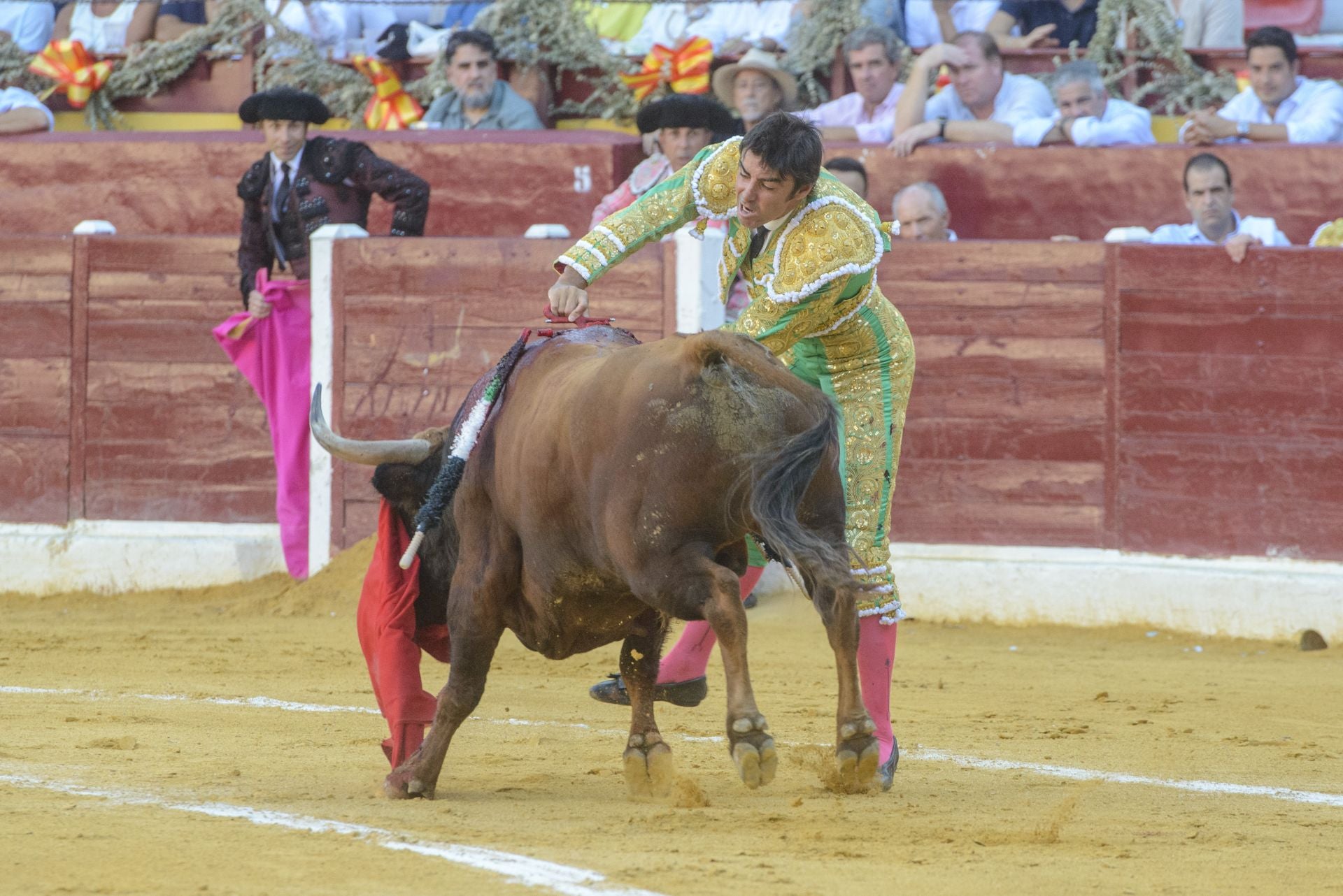 La tarde triunfal de Ureña en Murcia, en imágenes