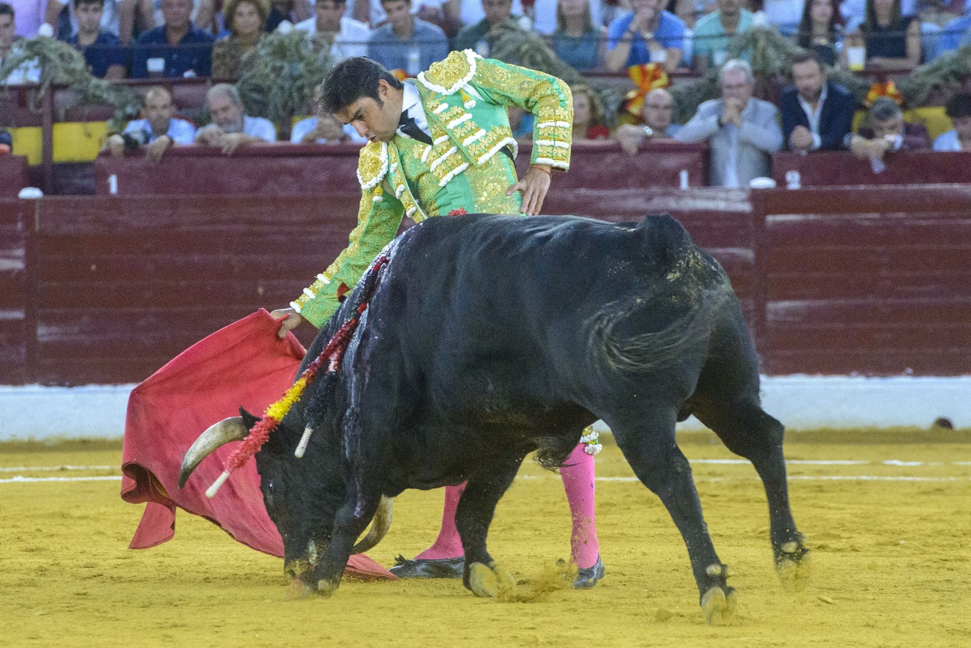 La tarde triunfal de Ureña en Murcia, en imágenes