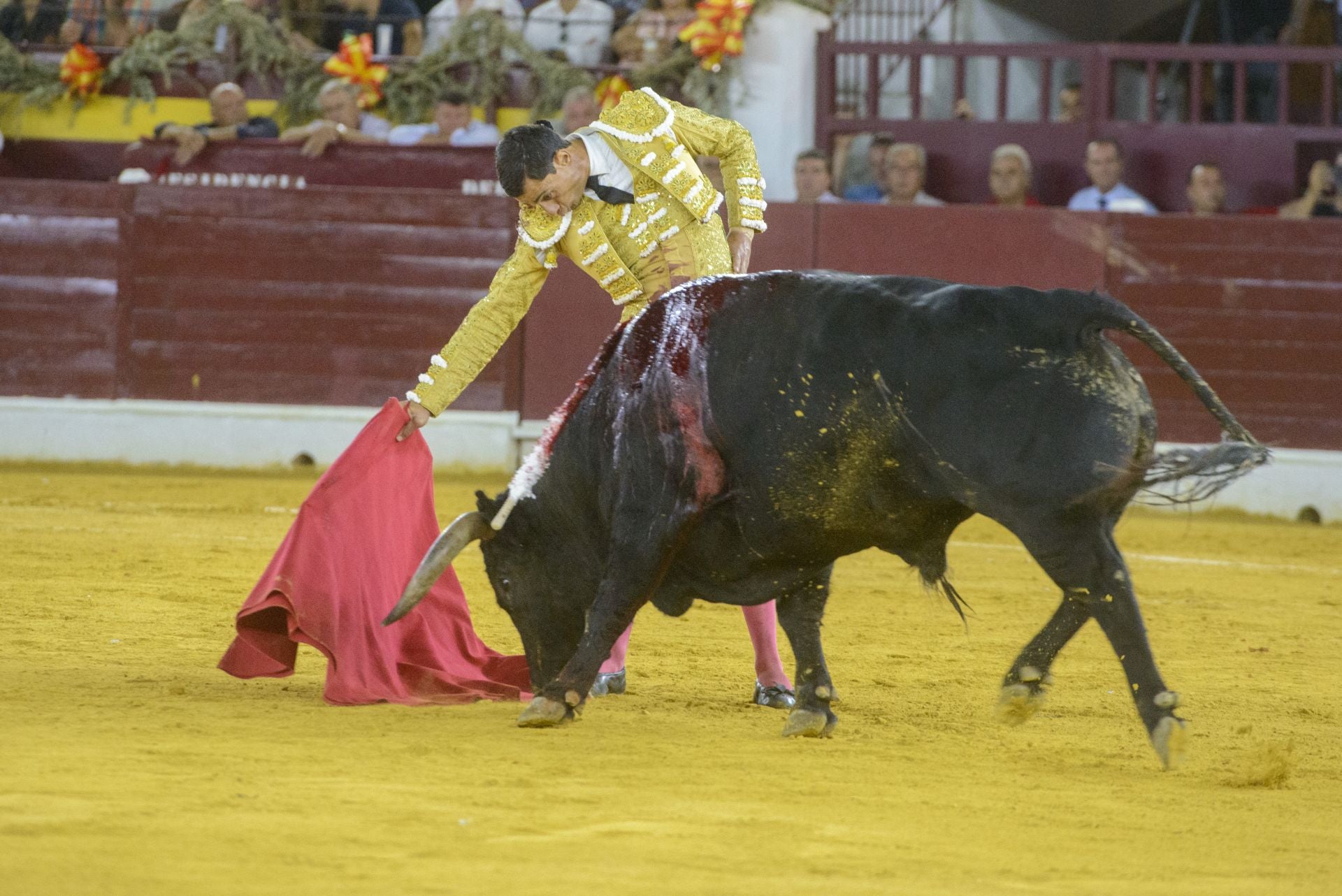 La tarde triunfal de Ureña en Murcia, en imágenes