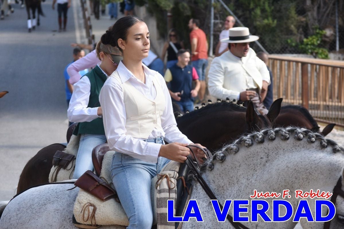 Imágenes de la Romería del Bando de los Caballos del Vino en Caravaca - Galería 2