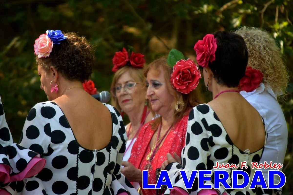 Imágenes de la Romería del Bando de los Caballos del Vino en Caravaca - Galería 2