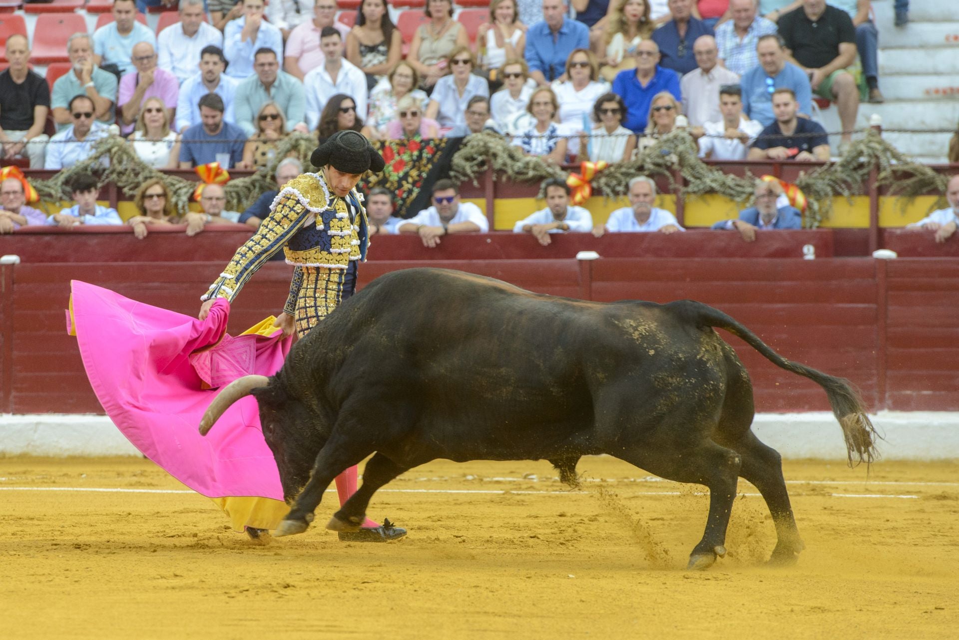 La Corrida de la Prensa de Murcia, en imágenes
