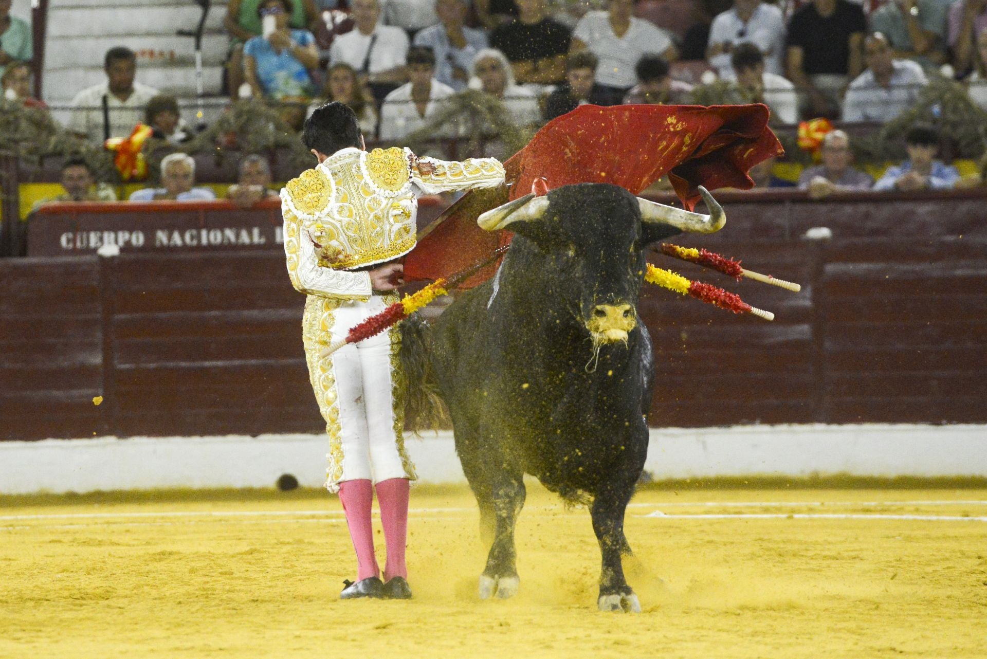 La Corrida de la Prensa de Murcia, en imágenes