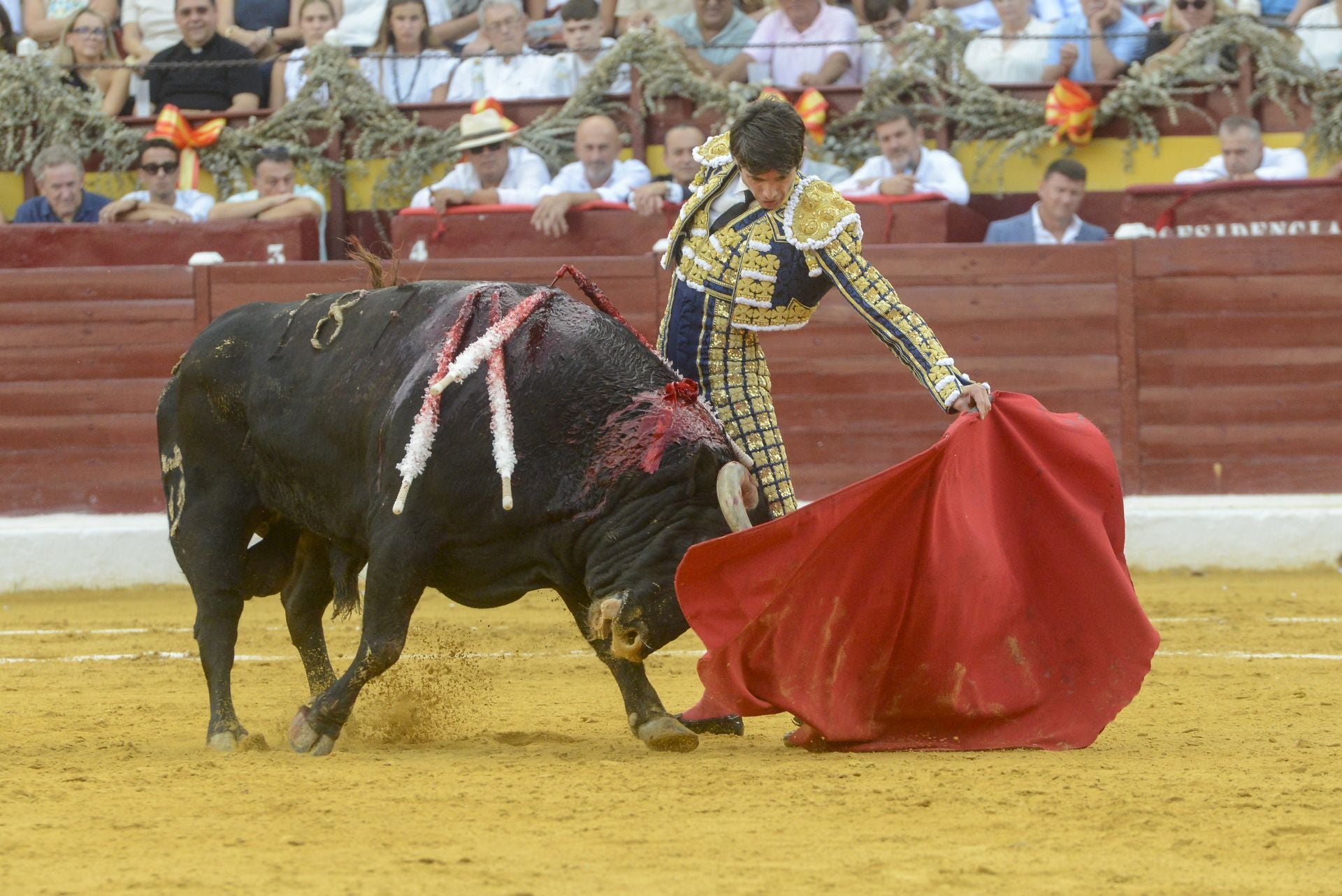 La Corrida de la Prensa de Murcia, en imágenes