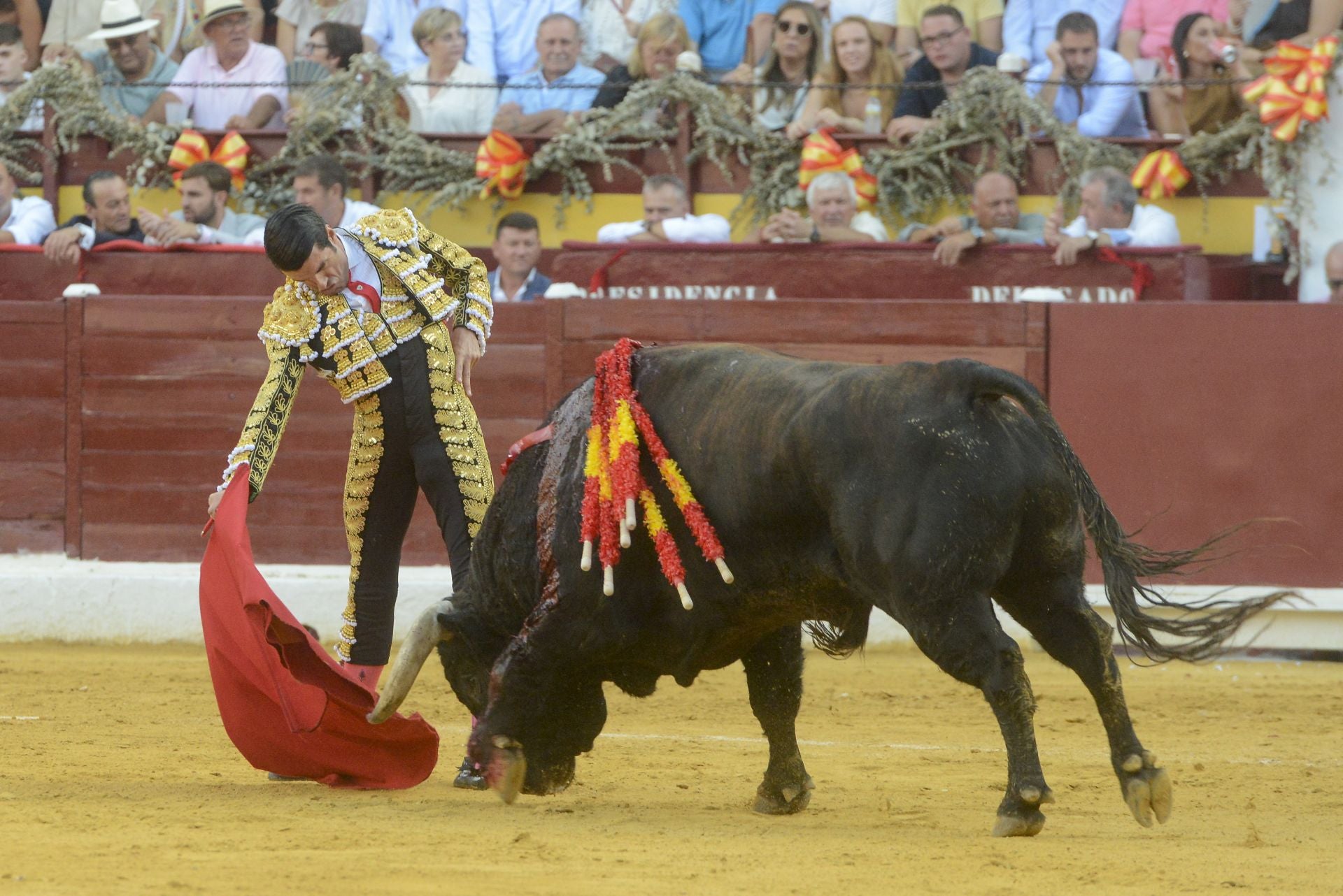 La Corrida de la Prensa de Murcia, en imágenes