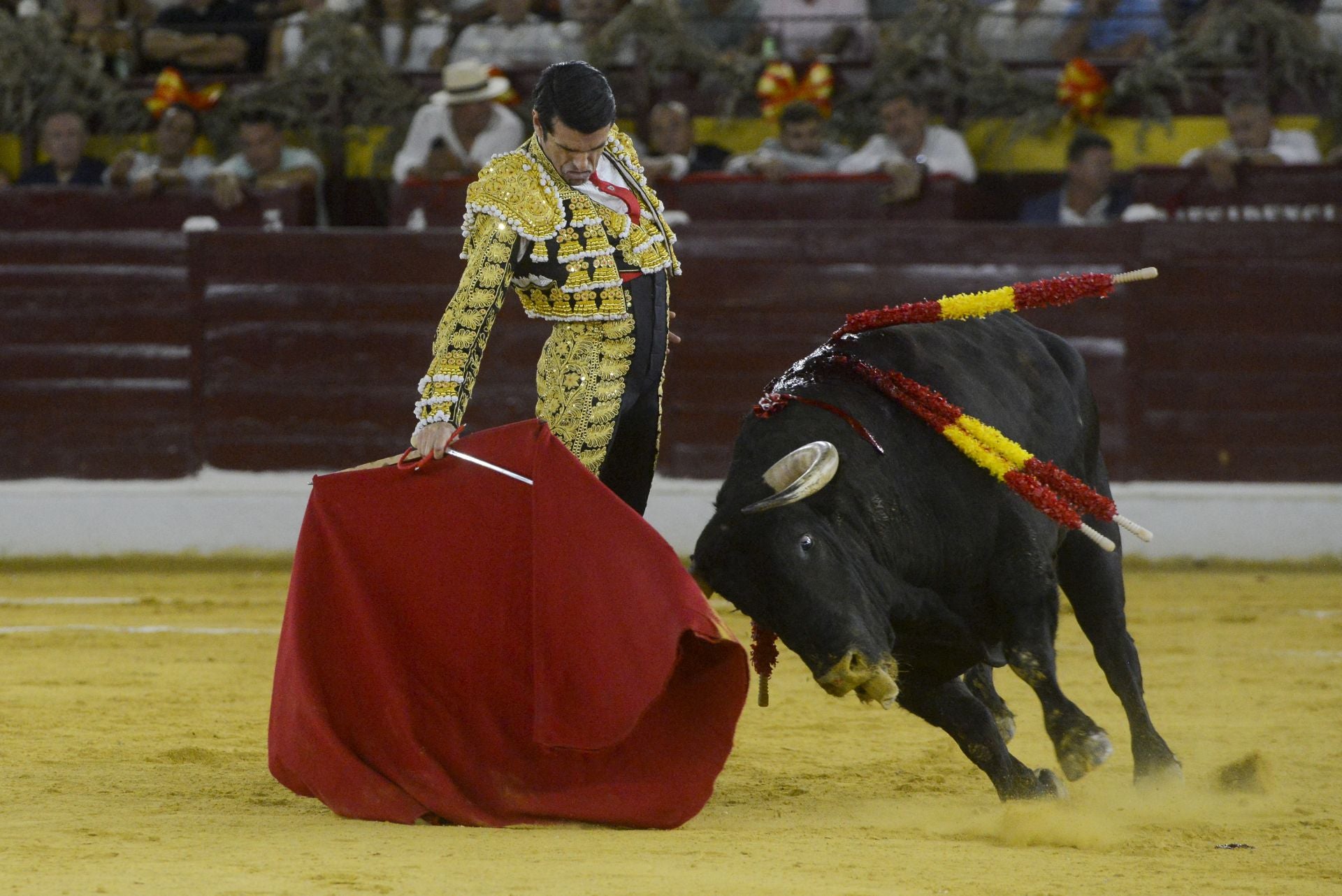 La Corrida de la Prensa de Murcia, en imágenes