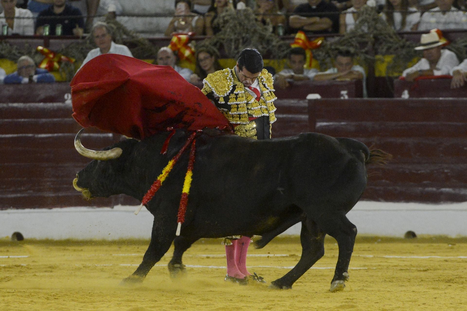 La Corrida de la Prensa de Murcia, en imágenes