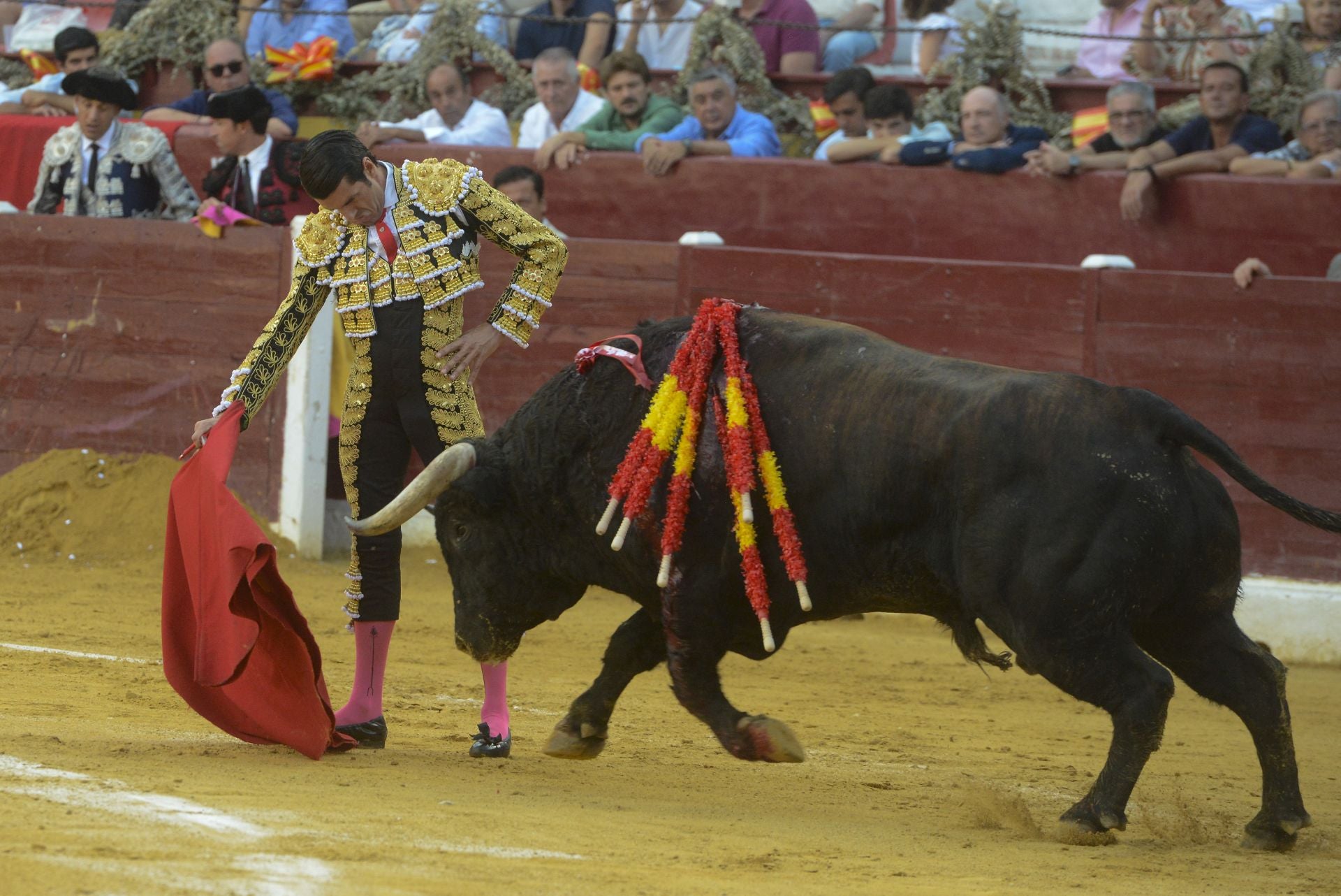 La Corrida de la Prensa de Murcia, en imágenes