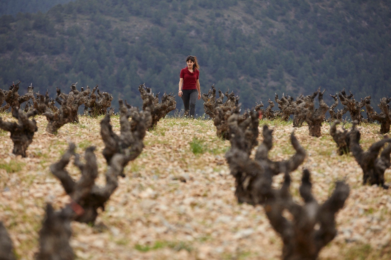 Julia Casado pasea por las plantaciones de viñedos donde elabora sus vinos en la bodega modular 'La del Terreno'.
