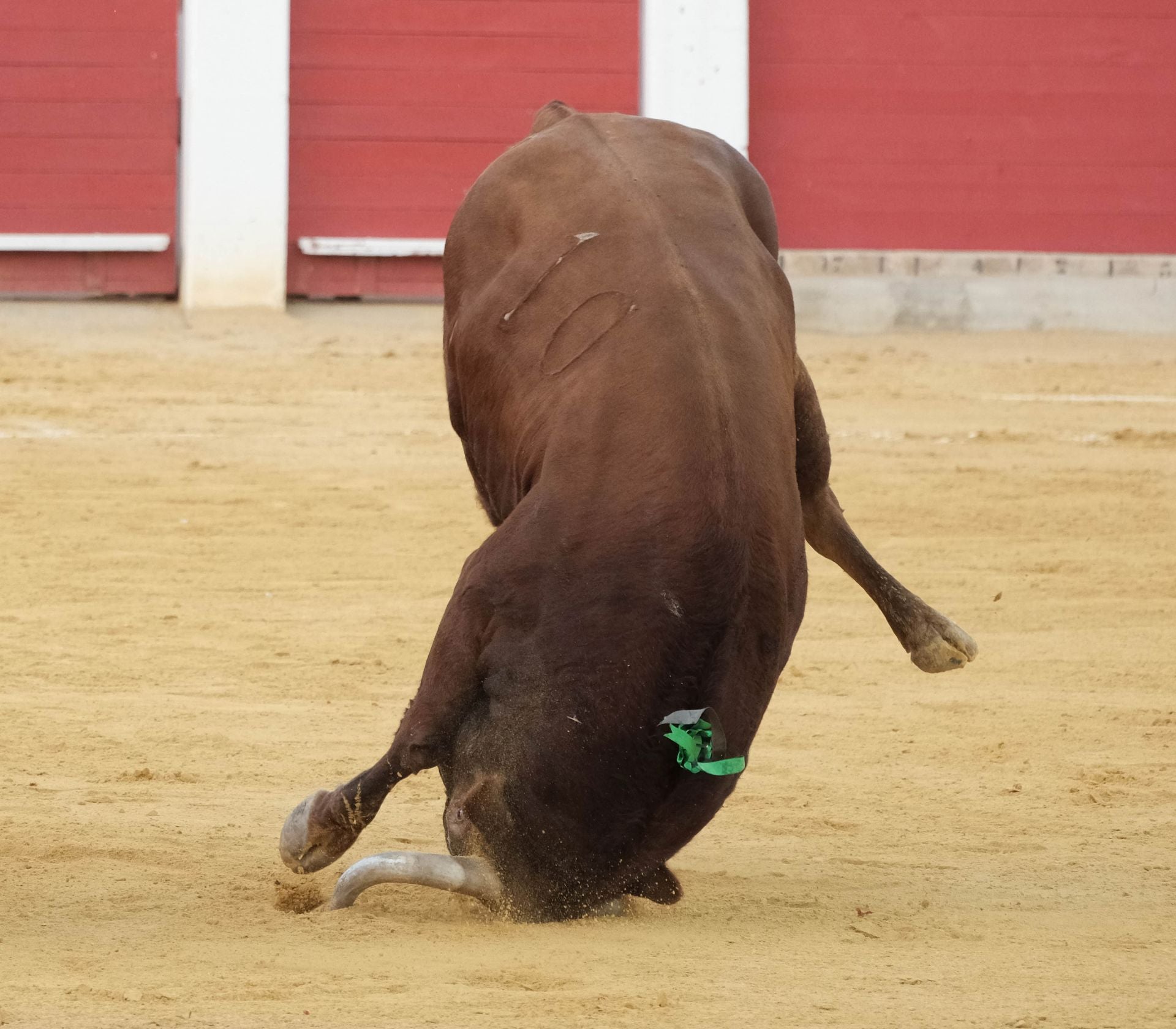 Las imágenes de la corrida de la Feria de Lorca
