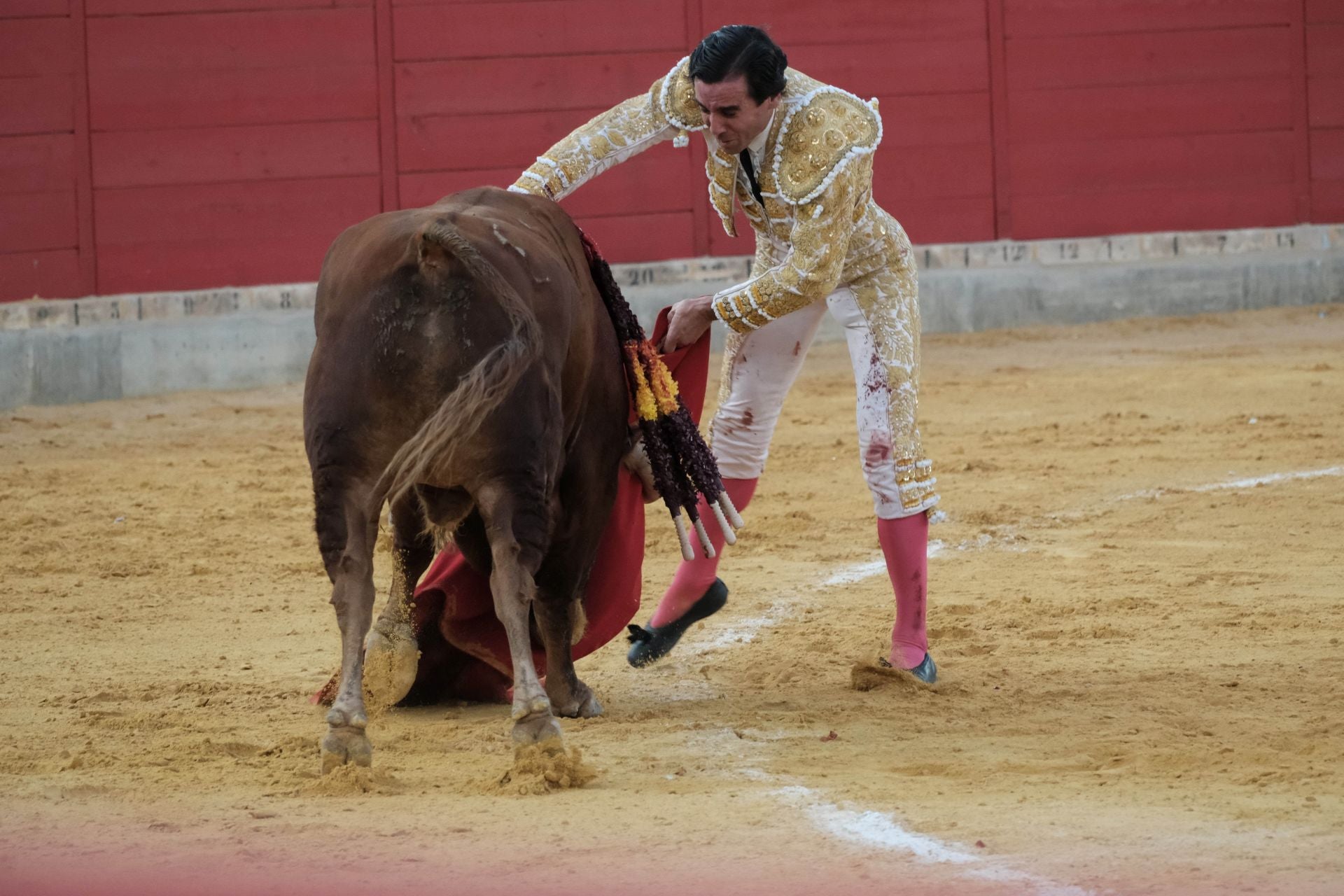 Las imágenes de la corrida de la Feria de Lorca
