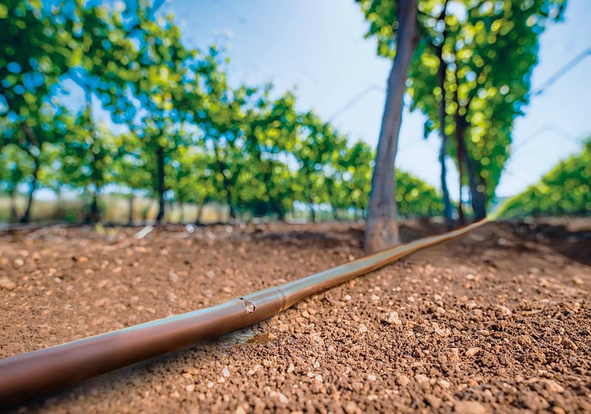 El sistema 'Cu Protect' de Caudal evita la intrusión de raíces en riego subterráneo.