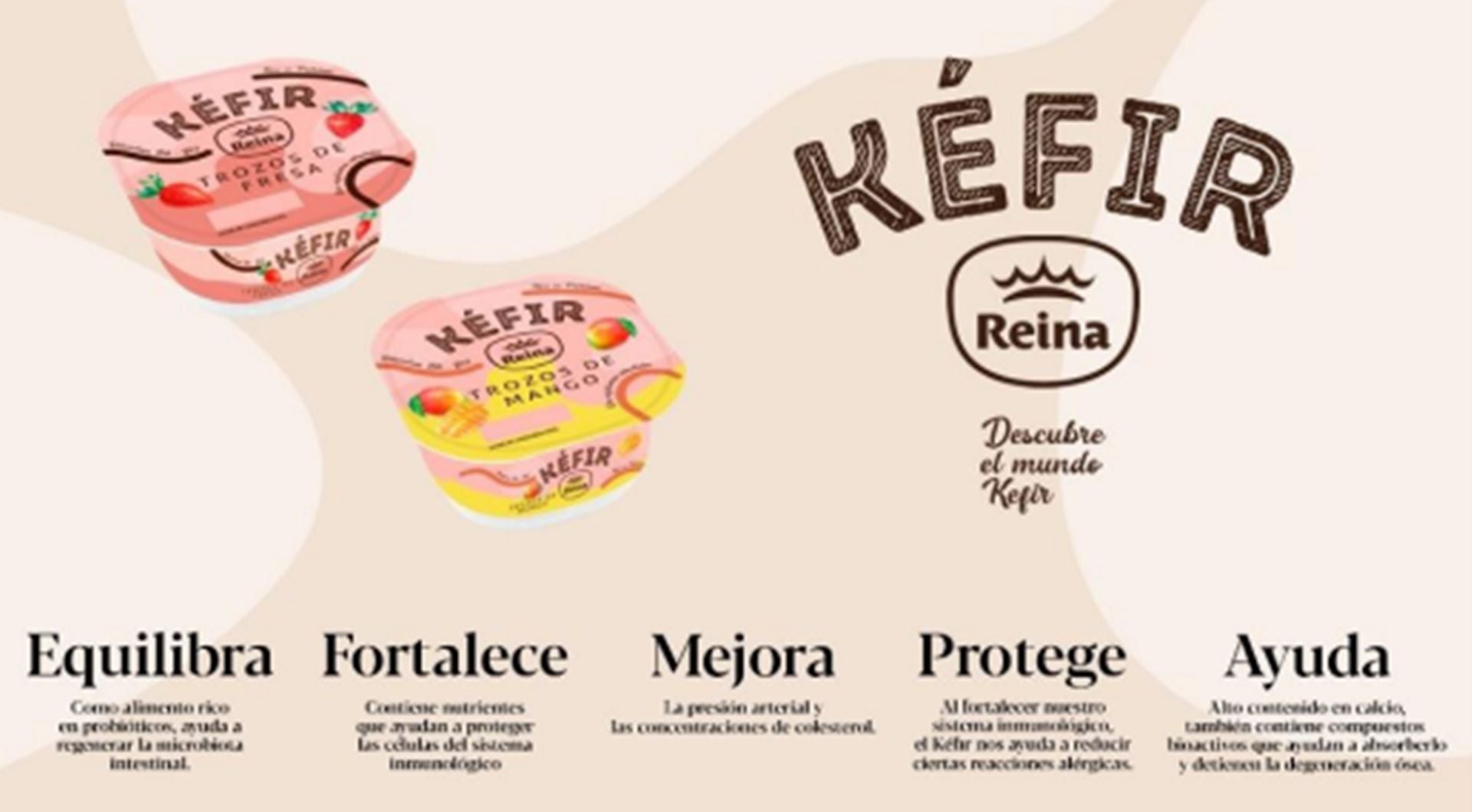 Reina lanza dos nuevos productos de kéfir