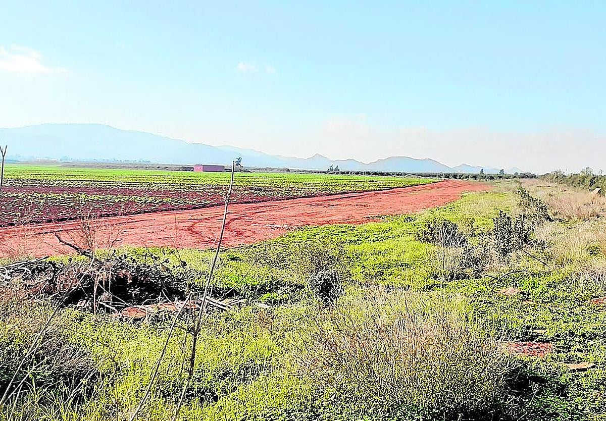 Vía pecuaria en el término municipal de Torre Pacheco sobre la que actuará la Consejería.