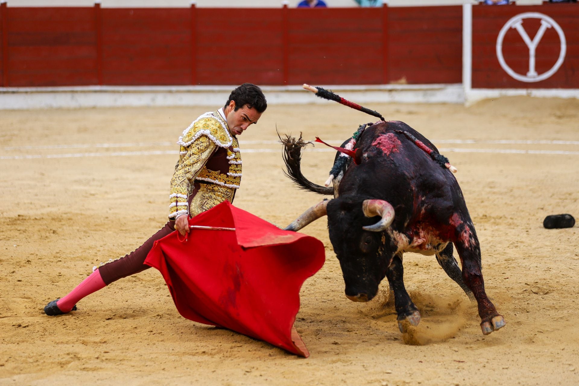 En imágenes, la corrida de toros de este sábado en Abarán
