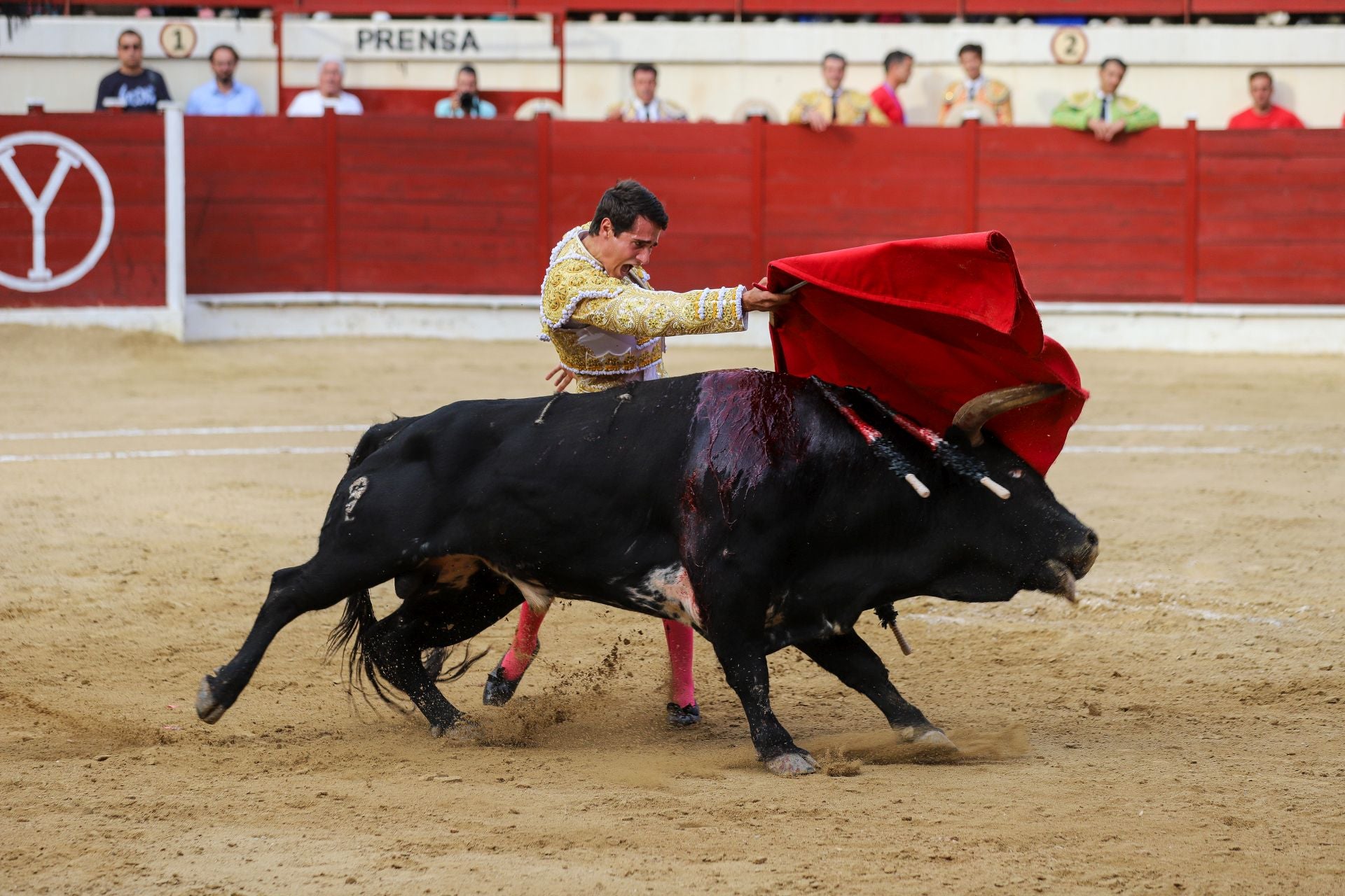 En imágenes, la corrida de toros de este sábado en Abarán