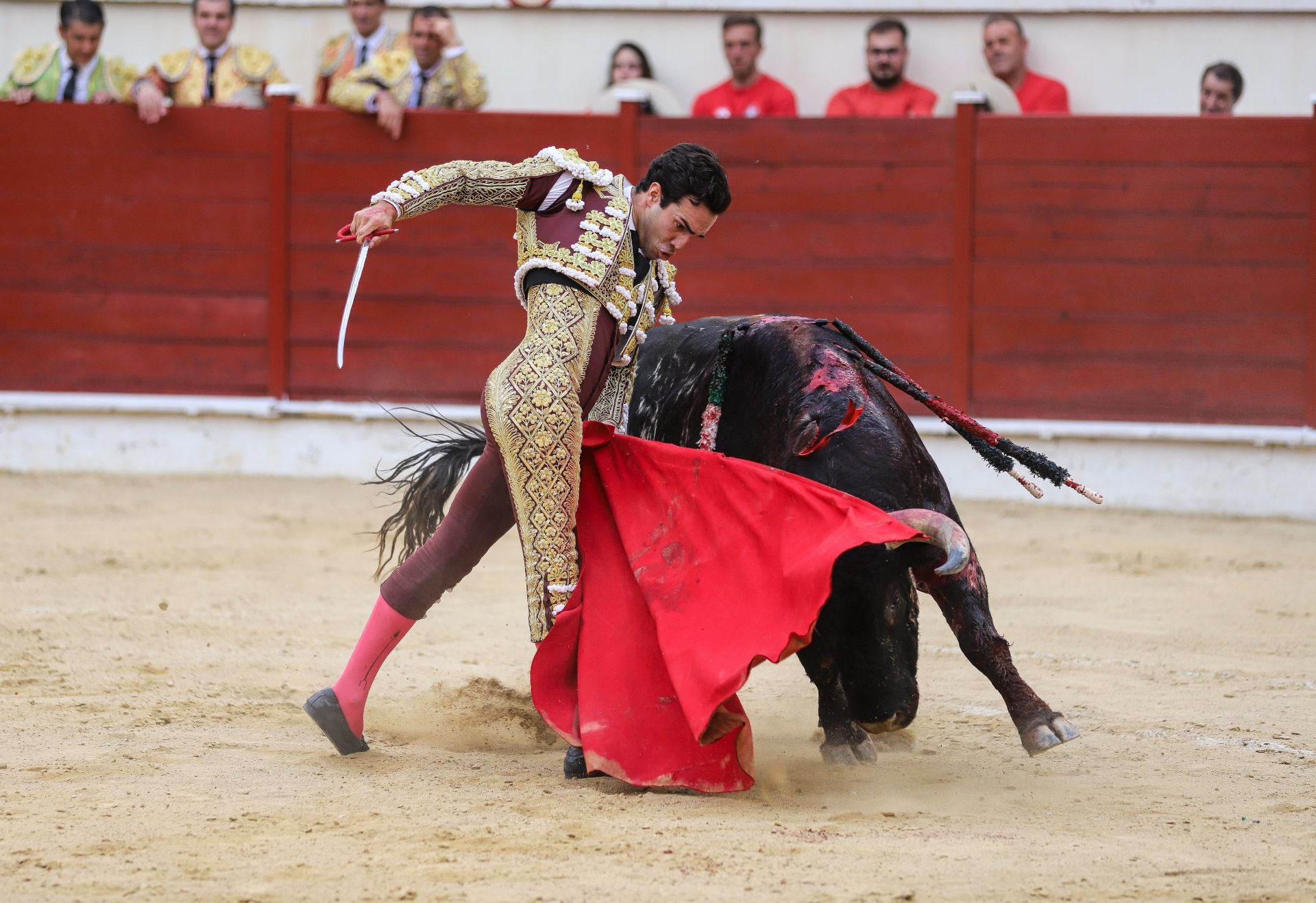 En imágenes, la corrida de toros de este sábado en Abarán