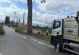 Dos operarios riegan uno de los pinos.