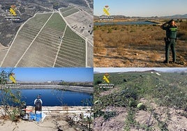 Los terrenos transformados ilegalmente de secano en regadío.