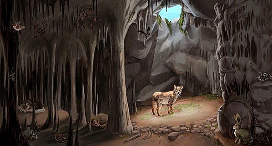 Ilustración que recrea la sima en la que caían los animales, con algunos de ellos en su interior, en el momento en el que empezó a formarse el depósito