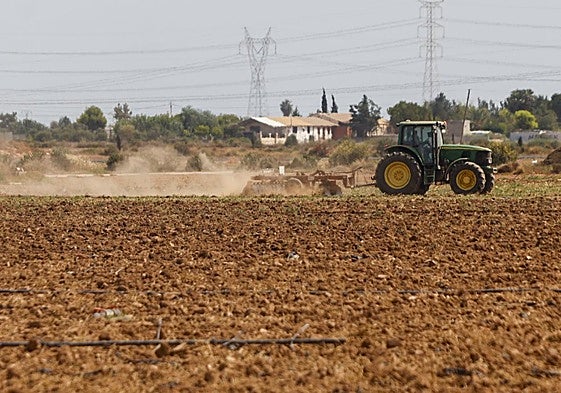 Un tractor labra la tierra y reparte el abono en una parcela agrícola de Cartagena.
