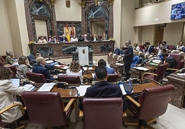 Diputados en sus escaños, mientras interviene el consejero Juan María Vázquez.