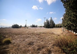 La maleza devora el campo de fútbol de las instalaciones de Cobatillas, histórico centro de entrenamiento del Real Murcia.