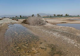 Zonas inundables de la pedanía de Purias, en una imagen de archivo.