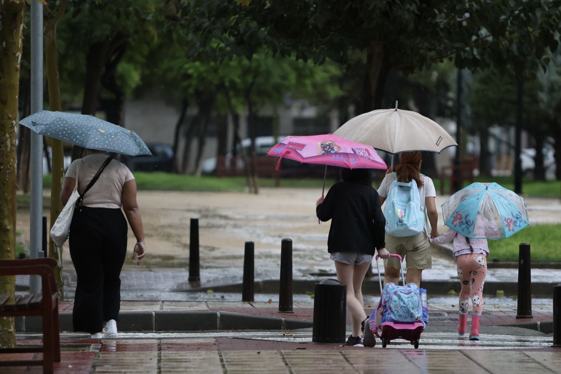 Las imágenes de la tormenta y la lluvia por la dana &#039;Alice&#039; este jueves en la Región de Murcia