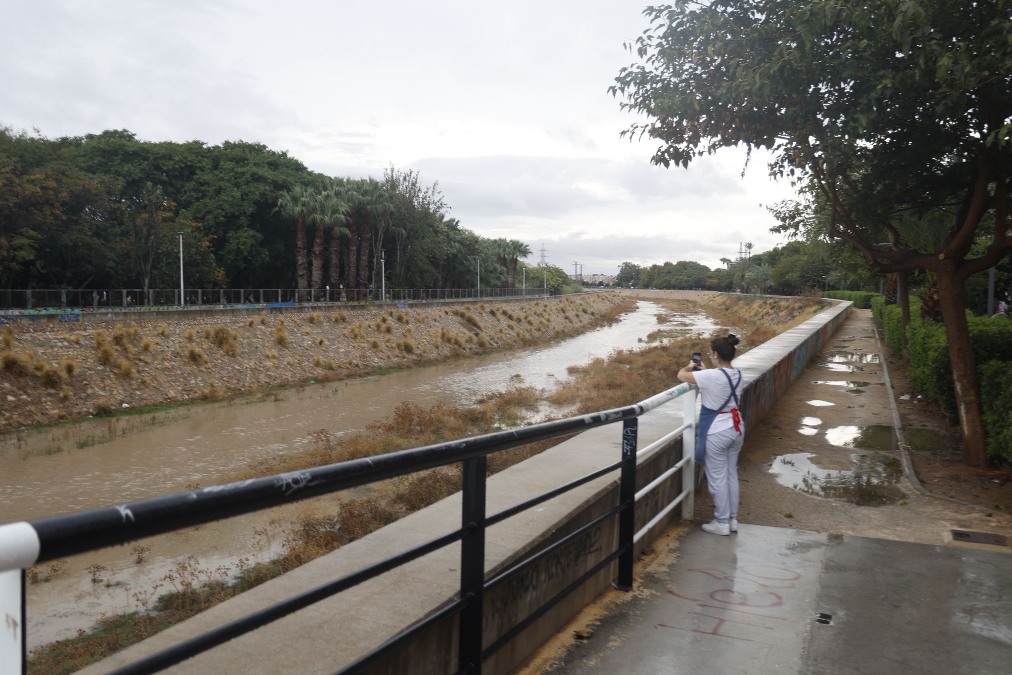 Las imágenes de la tormenta y la lluvia por la dana &#039;Alice&#039; este jueves en la Región de Murcia