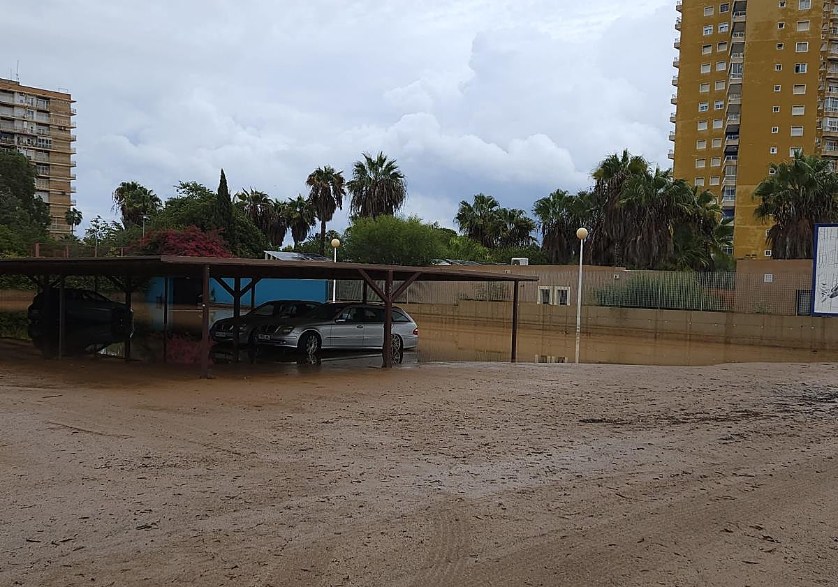 Imagen principal - Calles embarradas y sótanos inundados en Mar de Cristal.