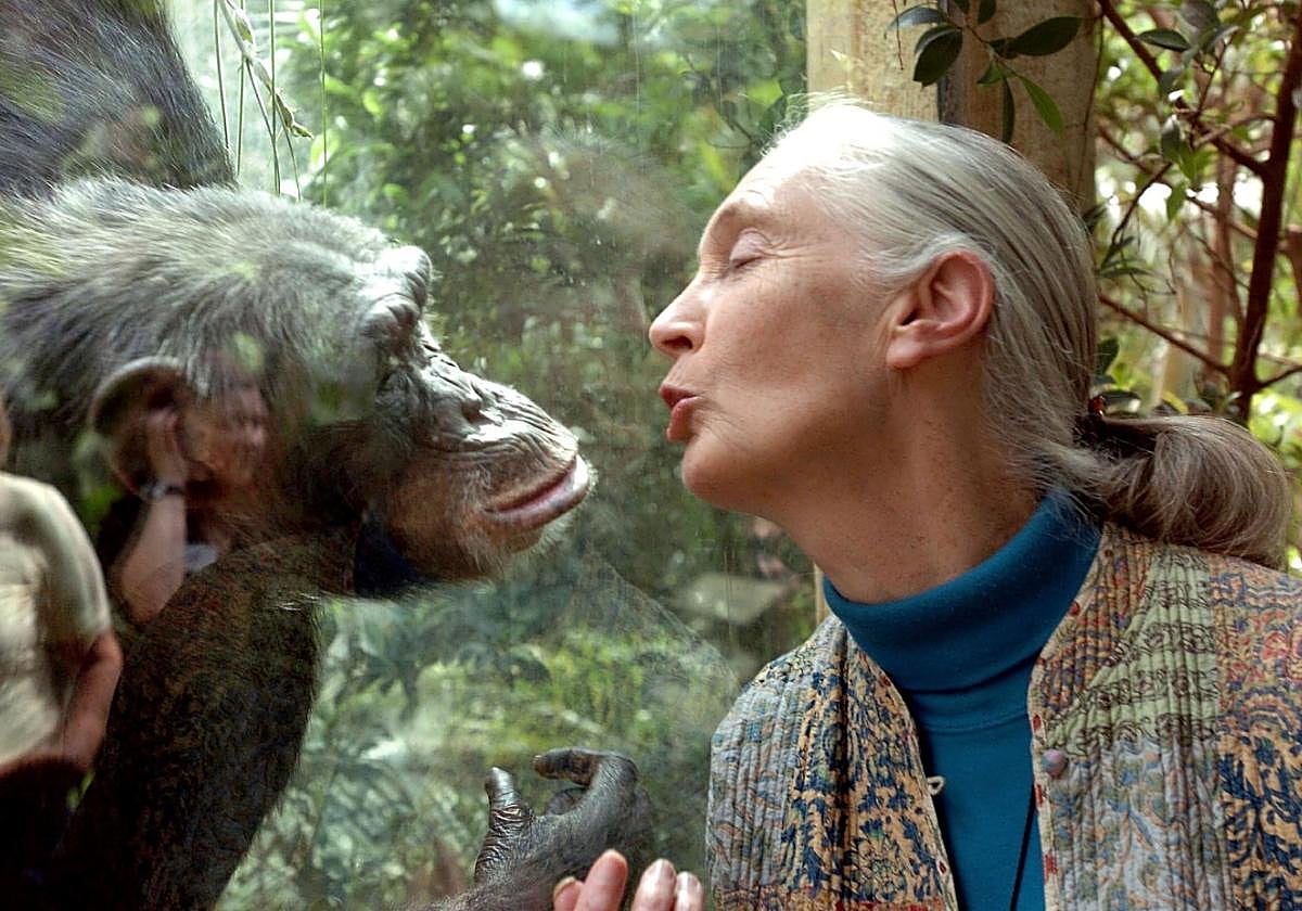 La científica y activista Jane Goodall