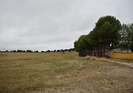 Terrenos en los que se desarrollaría el polígono industrial Las Minas, junto a las tapias del cementerio.