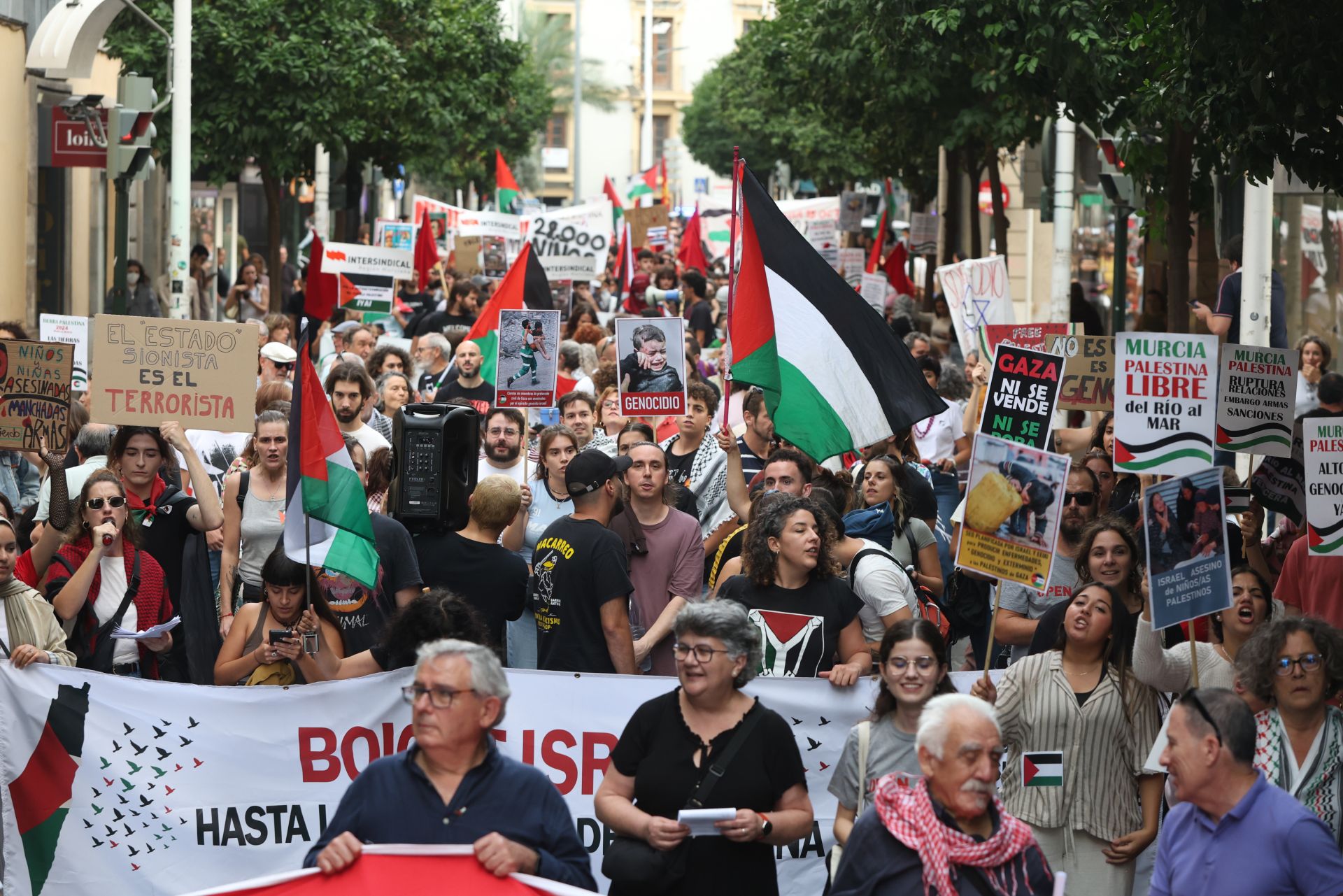 La movilización social por Palestina en Murcia, en imágenes