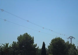 Medio Ambiente avanza en la adaptación de líneas eléctricas para proteger a la avifauna frente a la colisión y la electrocución