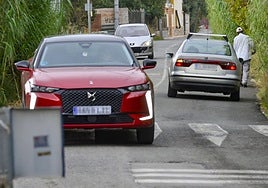 Los peatones circulan por la calzada en un tramo sin acera invadido por cañas.