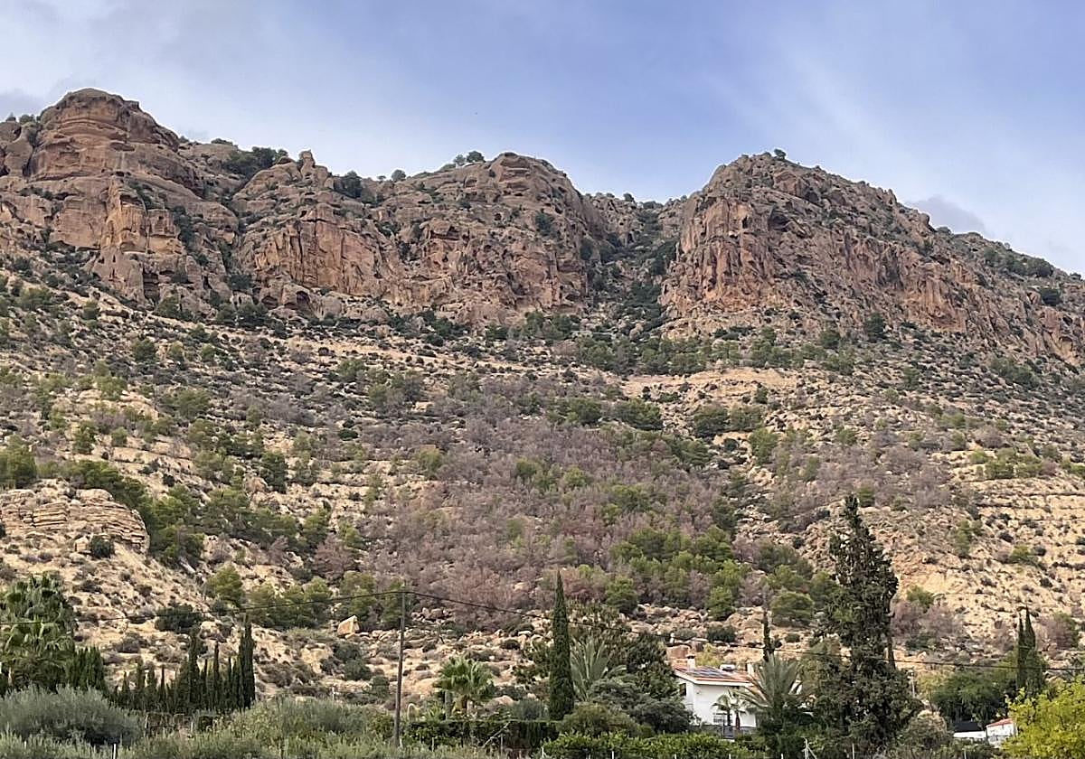 Vista de Sierra Espuña, con tonos marrones por los árboles afectados por la sequía, ayer en Alhama.