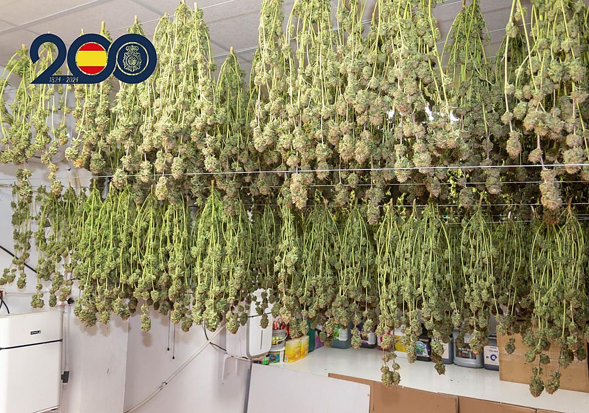 Imagen principal - Operación de la Policía Nacional en La Ñora.