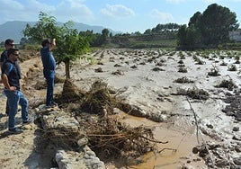 Tres agricultores, junto a la rambla de Agua Amarga durante la última crecida.