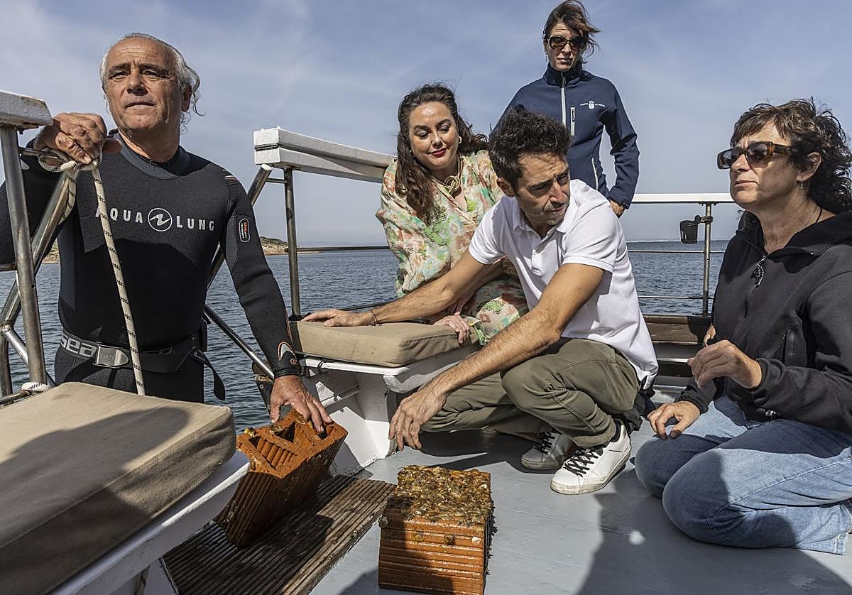 Pedro García, María Cruz Ferreira, Juan Guillamón y Marina Albentosa observan las ostras de uno de los ladrillos del arrecife.
