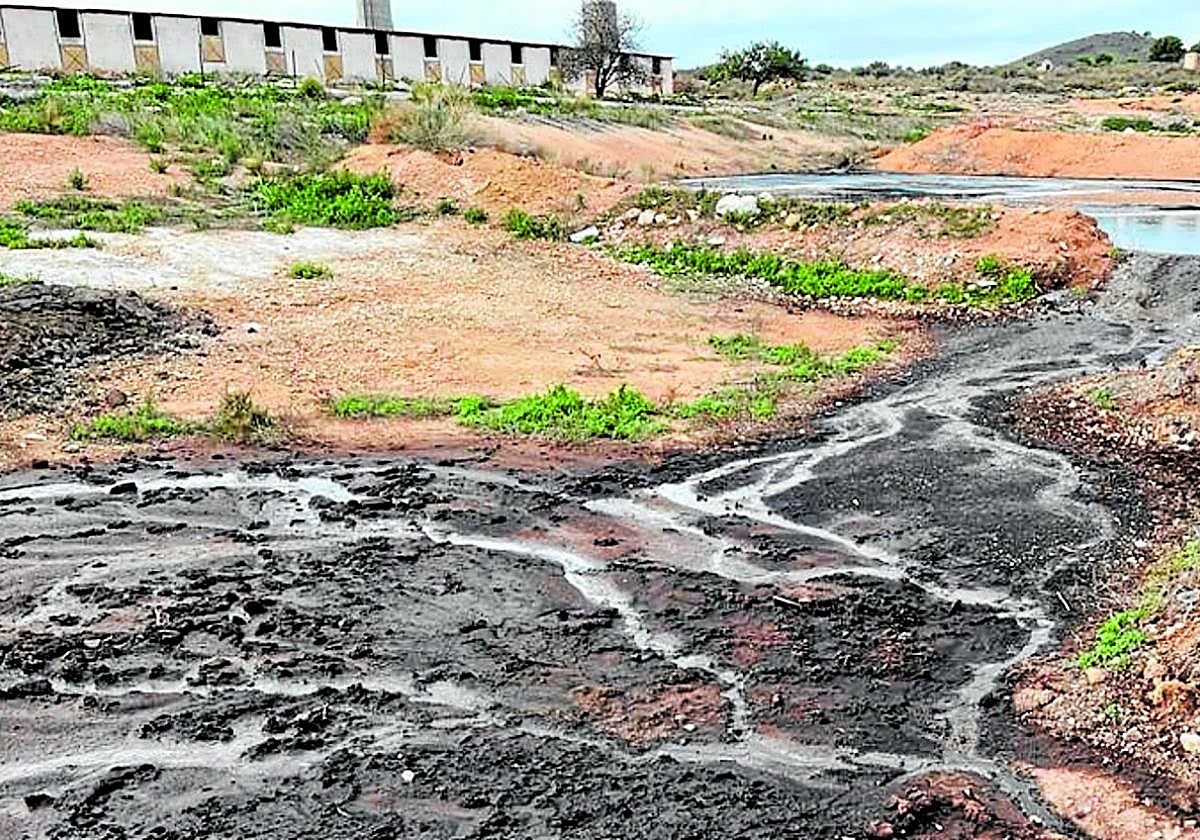 Vertido incontrolado de purines, tras unas lluvias torrenciales, junto a una ganja porcina del Campo de Cartagena, en una imagen de archivo.