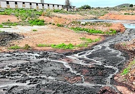 Vertido incontrolado de purines, tras unas lluvias torrenciales, junto a una ganja porcina del Campo de Cartagena, en una imagen de archivo.