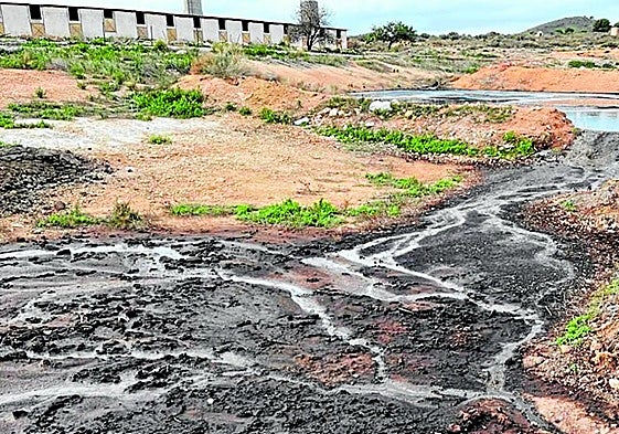 Vertido incontrolado de purines, tras unas lluvias torrenciales, junto a una ganja porcina del Campo de Cartagena, en una imagen de archivo.