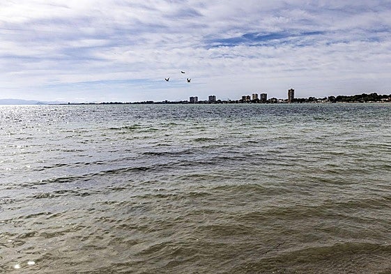 Panorámica del Mar Menor este lunes, con el agua en tonos marrones, realizada desde Lo Pagán.