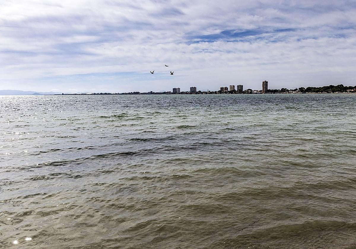 Panorámica del Mar Menor este lunes, con el agua en tonos marrones, realizada desde Lo Pagán.